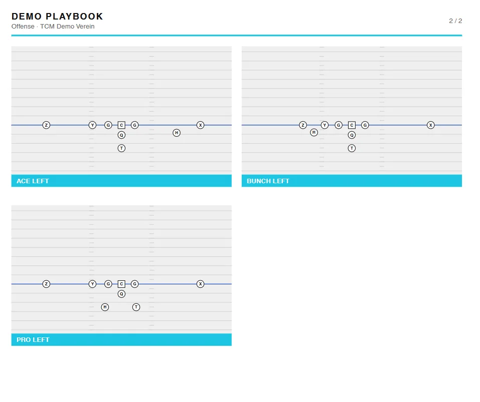TCM Playbook – PDF-Export mit vier Diagrammen pro Seite